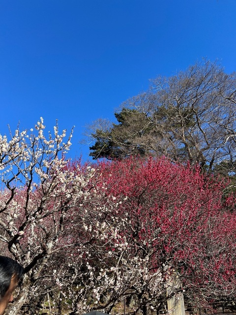 IMG_1901.jpeg