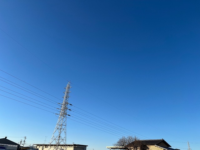 IMG_2011-a495b.jpeg